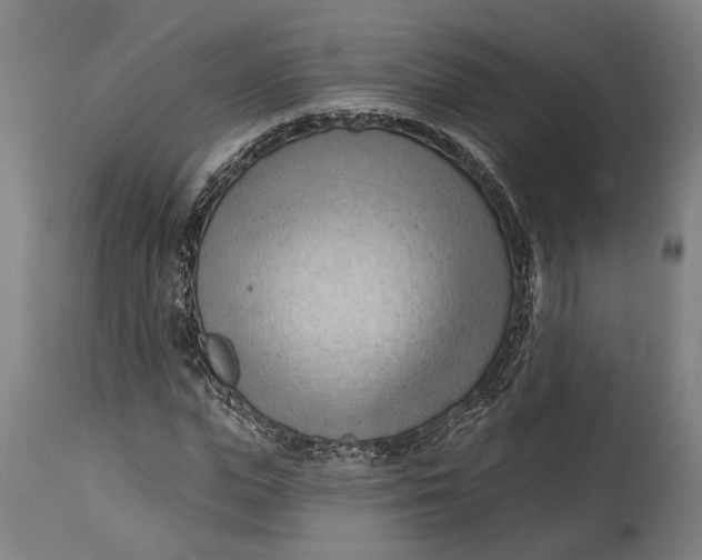 X0000114630823200911101234