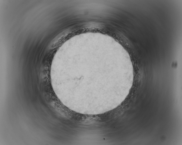 X0000114630824200911101234