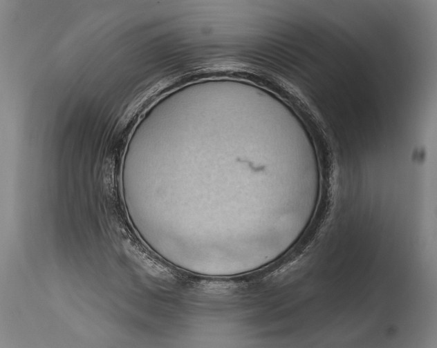 X0000114630825200911101234