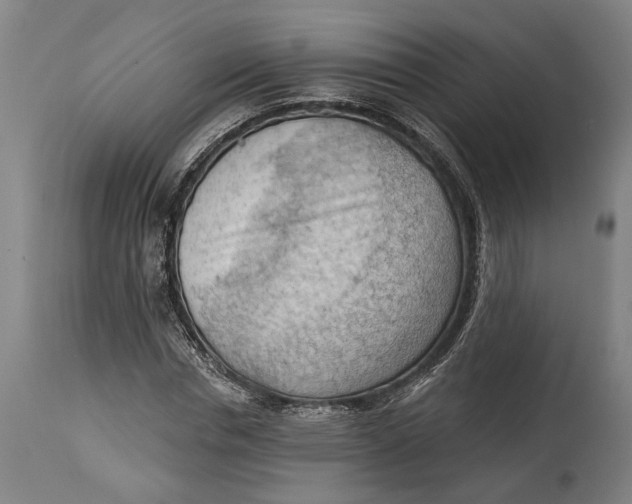 X0000114630826200911101234