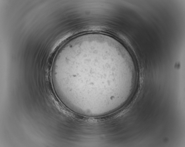 X0000114630827200911101234