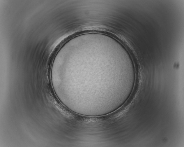 X0000114630830200911101234