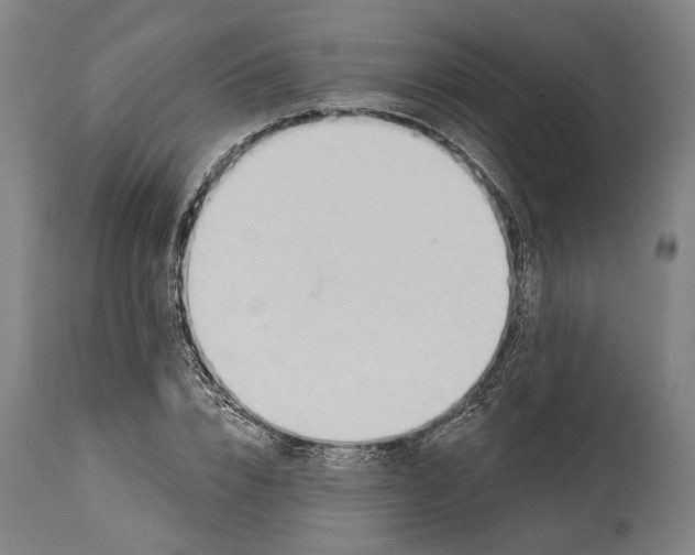 X0000114630832200911101234