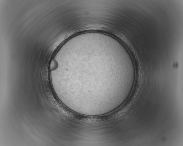 X0000114630834200911101234