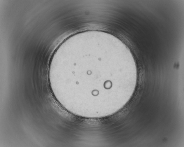 X0000114630836200911101234