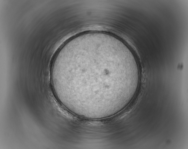 X0000114630837200911101234