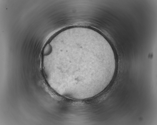 X0000114630838200911101234