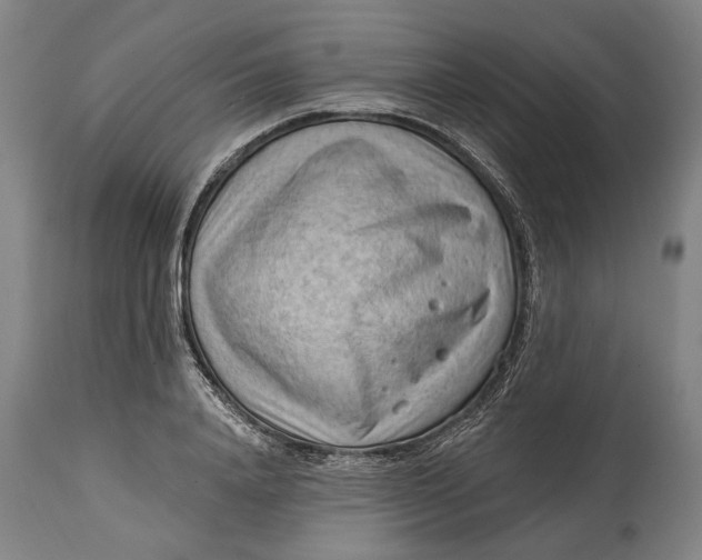 X0000114630840200911101234