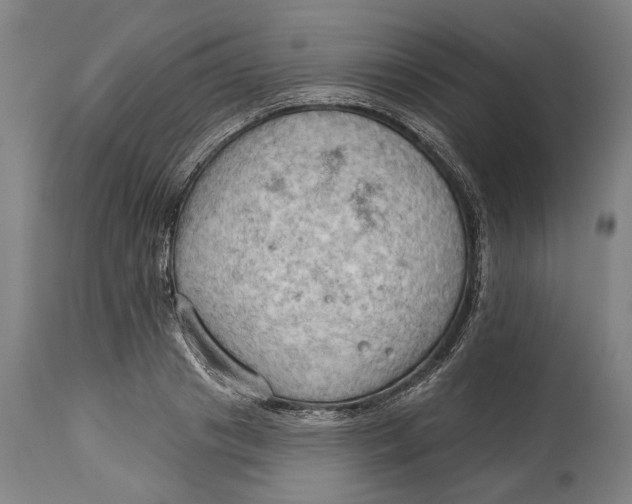 X0000114630841200911101234