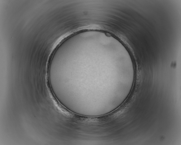 X0000114630845200911101235