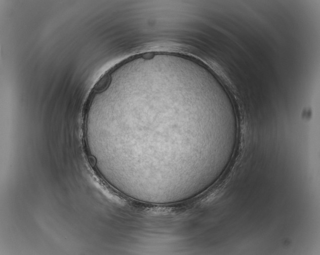 X0000114630846200911101235