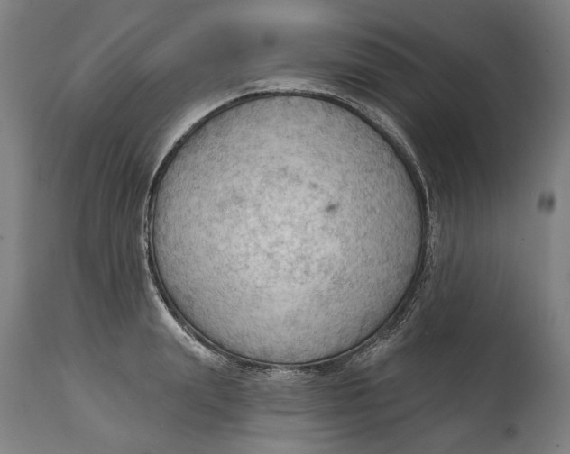 X0000114630847200911101235