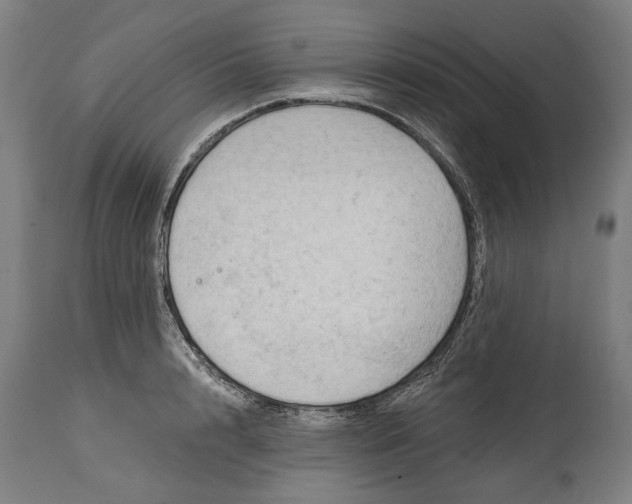 X0000114630848200911101235