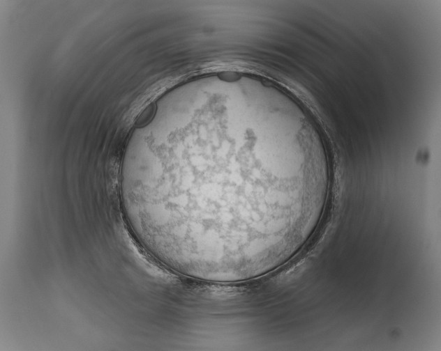 X0000114630849200911101235