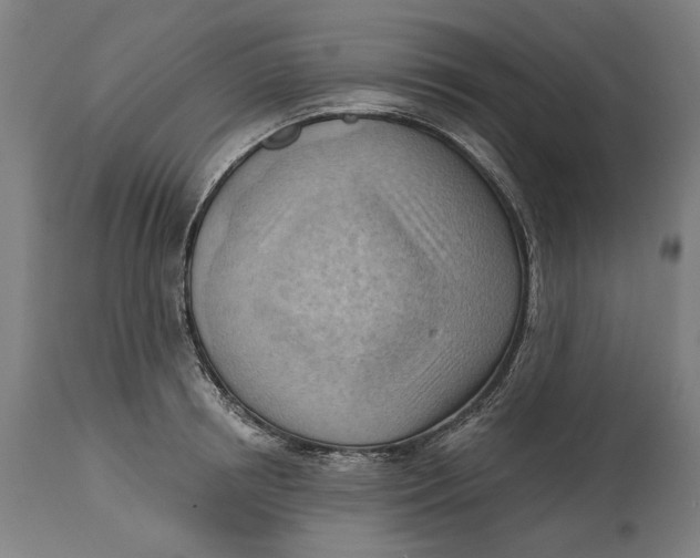 X0000114630850200911101235