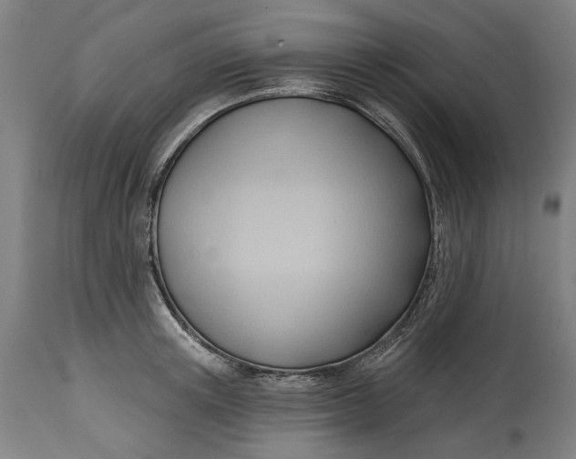 X0000114630851200911101235