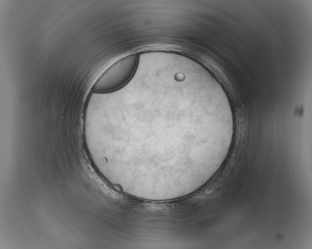 X0000114630852200911101235