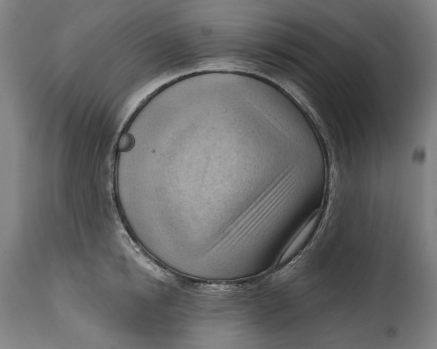 X0000114630854200911101235