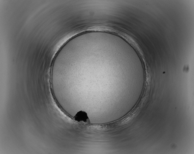 X0000114630855200911101235