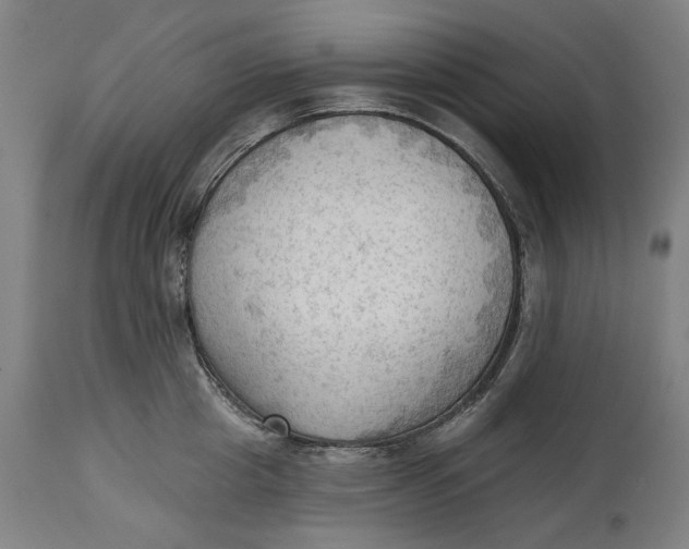 X0000114630857200911101235