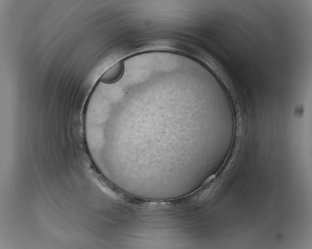 X0000114630858200911101235