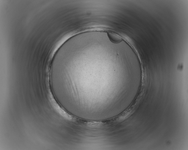 X0000114630859200911101235