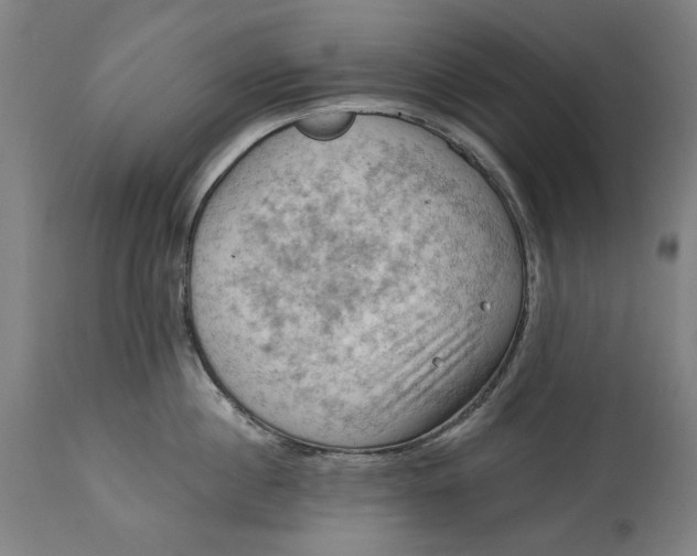 X0000114630860200911101235