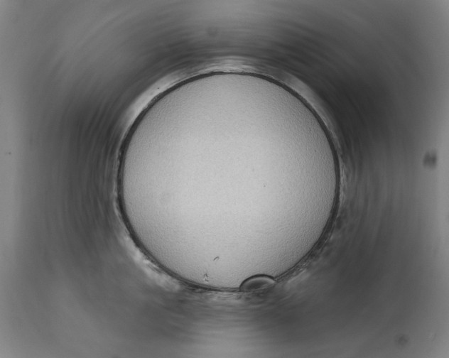 X0000114630861200911101235