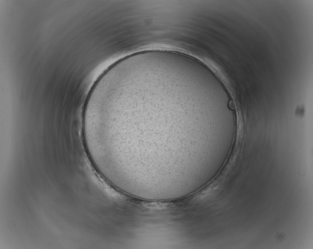 X0000114630862200911101235