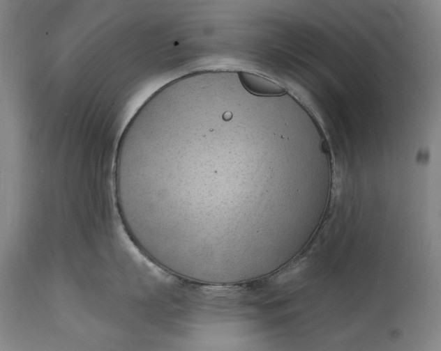 X0000114630863200911101235