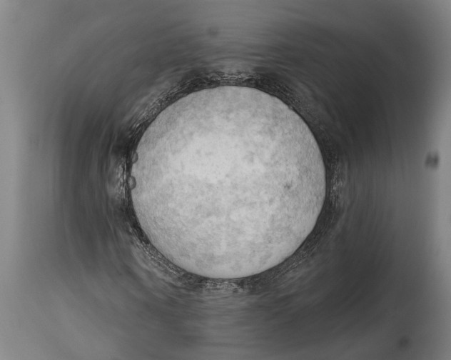 X0000114630866200911101234