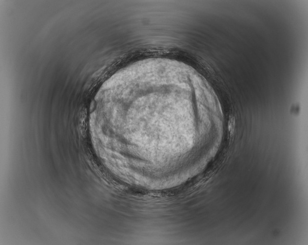 X0000114630867200911101234