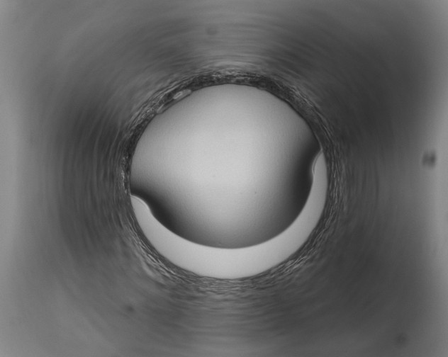 X0000114630868200911101234