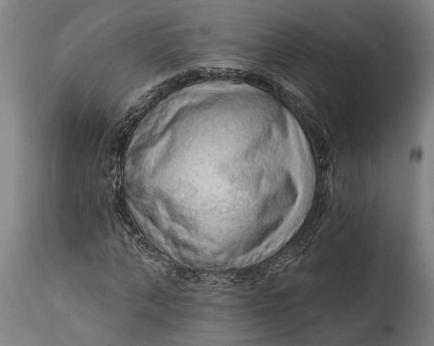 X0000114630870200911101234