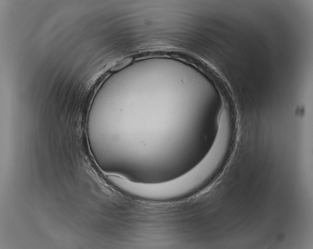 X0000114630873200911101234