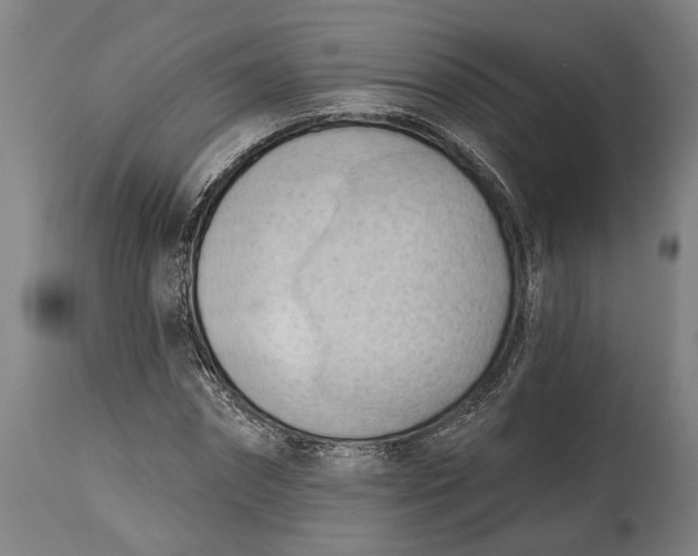 X0000114630874200911101234