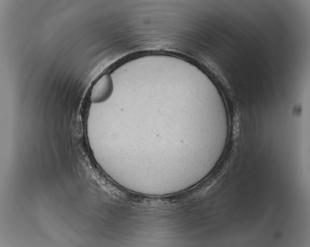 X0000114630876200911101234