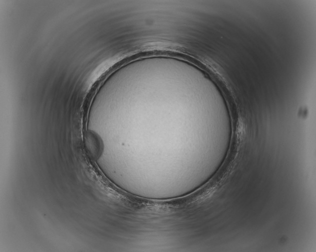 X0000114630877200911101234