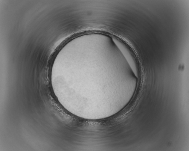 X0000114630878200911101234