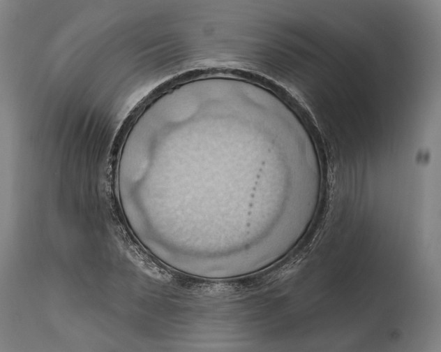 X0000114630879200911101234