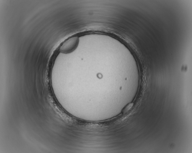 X0000114630880200911101234