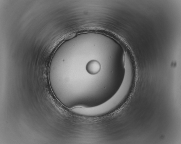 X0000114630881200911101234