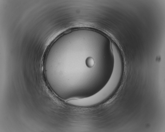 X0000114630885200911101234