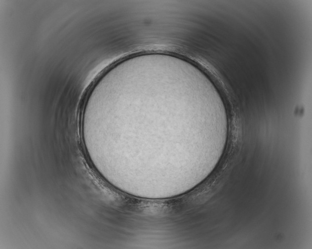 X0000114630886200911101234