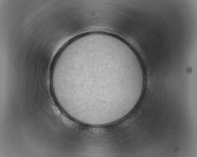 X0000114630888200911101234