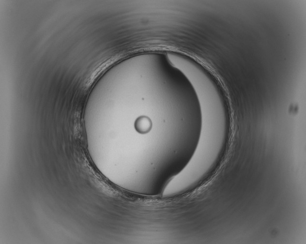 X0000114630889200911101234