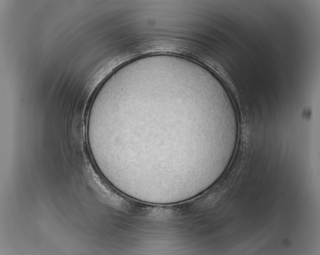 X0000114630890200911101234