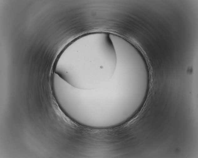 X0000114630892200911101234