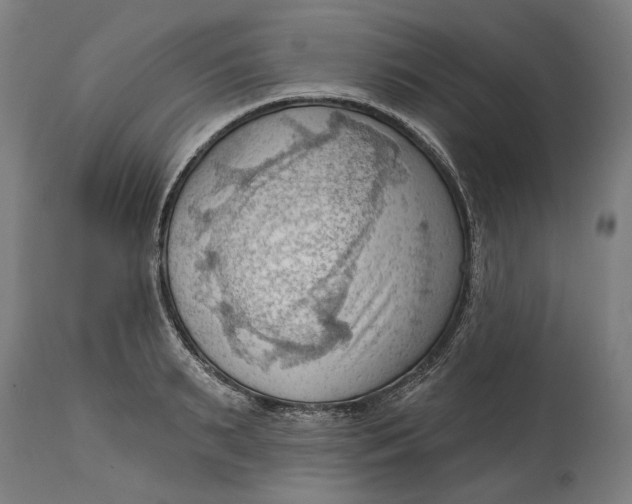 X0000114630895200911101234