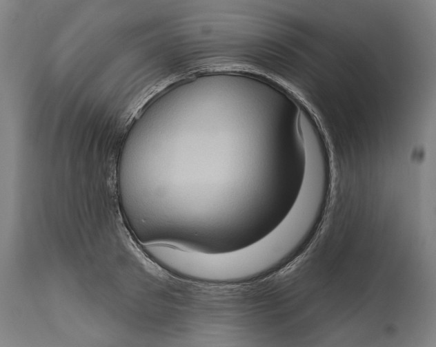 X0000114630897200911101234